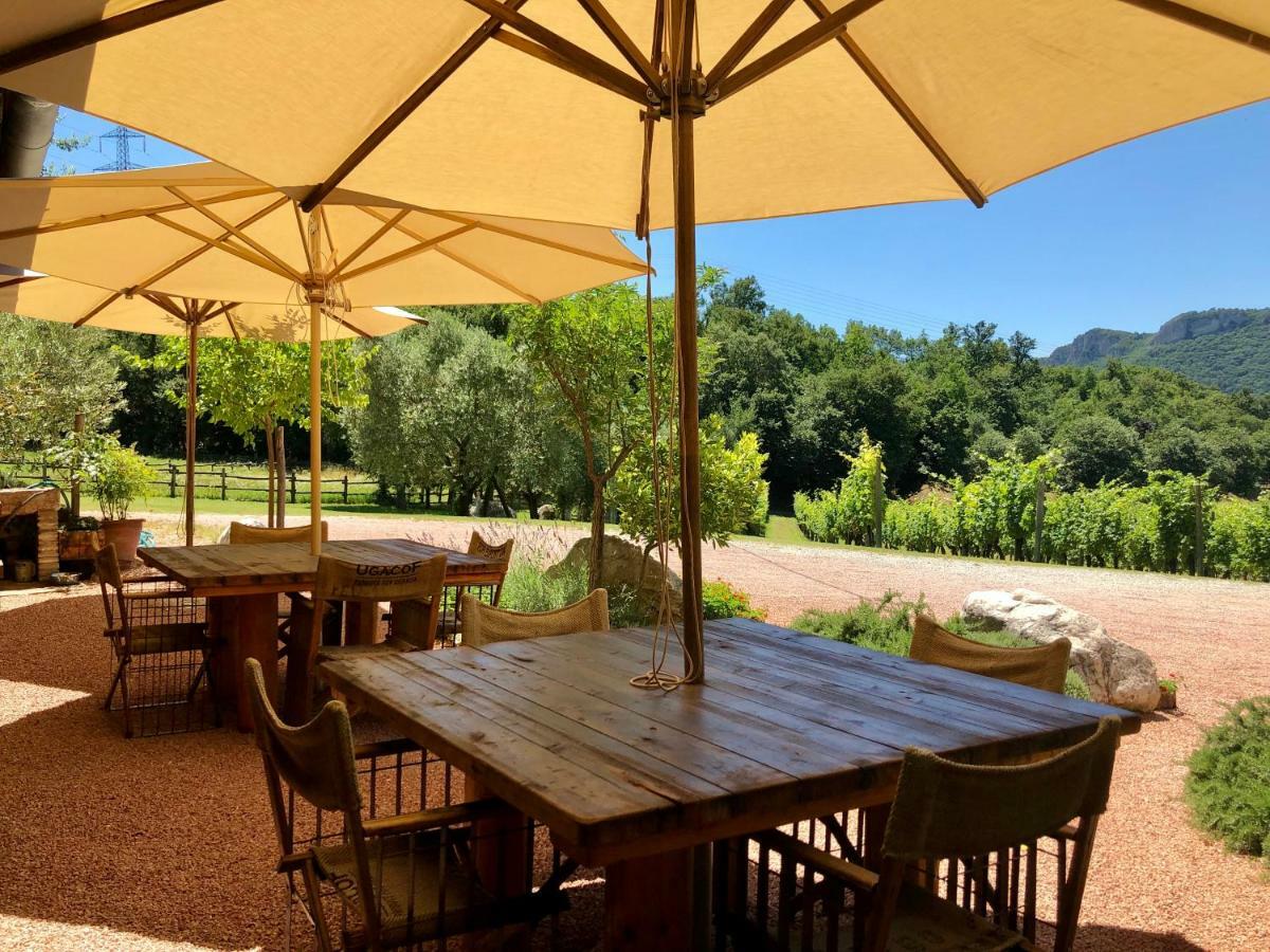 Serene Holiday And Wine Farm Affi Exterior foto